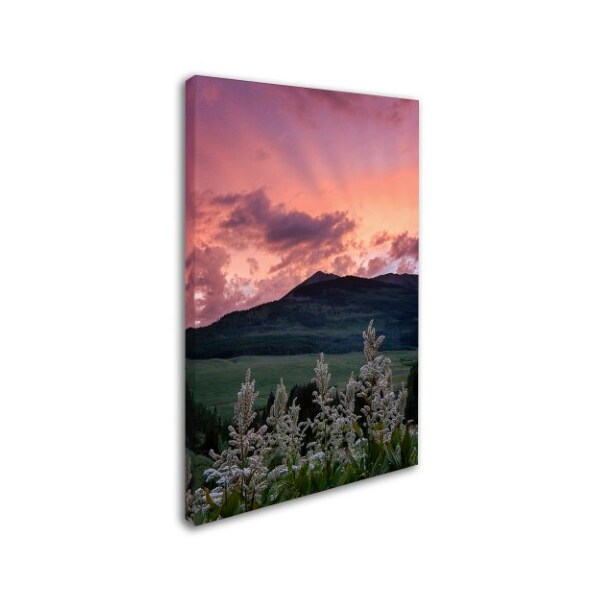 Michael Blanchette Photography 'Ascend' Canvas Art,12x19